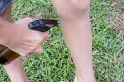 Global Mosquito Repellent Market Report by size, present and future trends, growth driving factors, and forecast 2028