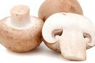 Global Mushroom Market Report by size, cagr analysis, growth factors, top trends, and forecast 2028