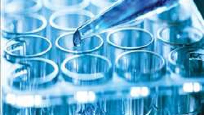 Global Bioprocess Technology Market Report by size, huge growth prospects, regional trends, and forecast 2028