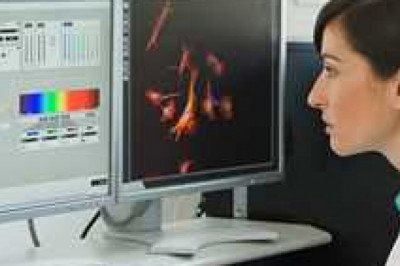 Global Medical Image Analysis Software Market Report by size, regional expansion strategies, research &amp; development, and forecast 2028