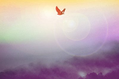 Breathing Room - Meditation at your Fingertips