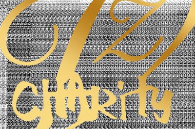 VZ Charity