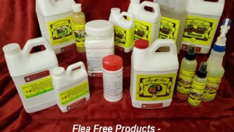 Benefits of Flea Free Food Supplements for Pets
