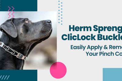 Herm Sprenger ClicLock Buckle - Easily Apply &amp; Remove Your Pinch Collar