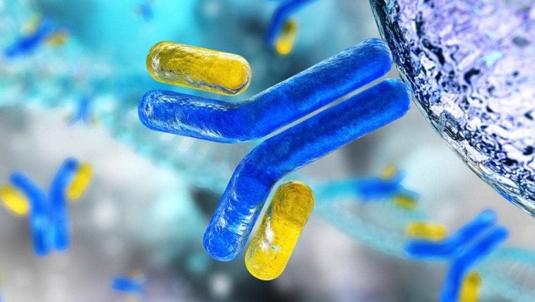 Mainly Challenges for Peptide Therapeutics in Metabolic Disorders