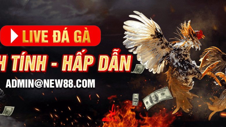 NEW88 – NHÀ CÁI UY TÍN ĐẲNG CẤP SỐ 1 CHÂU Á