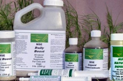 Why Healthy and Natural Pet Food is Important for Dogs and Cats?