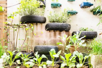 Things to Consider While Choosing a Garden Designer