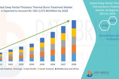Deep Partial-Thickness Thermal Burns Treatment Market to exceed $ USD 2,072.86 million in 2028