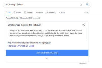 Unlock the World's Secrets with Google's 'I'm Feeling Curious