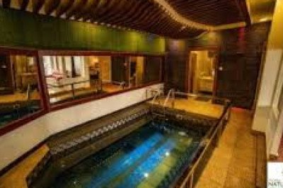 Best resorts in Munnar | Top resorts in Munnar