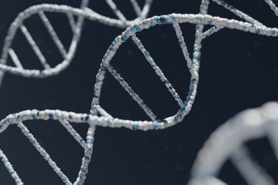 Galloway Mowat Syndrome Market Size Projection by 2029