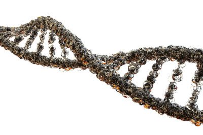 Biologics Conferences 2023: Overview.