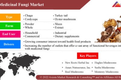 Global Medicinal Fungi Market Report Size, Revenue and Forecast 2019-2028