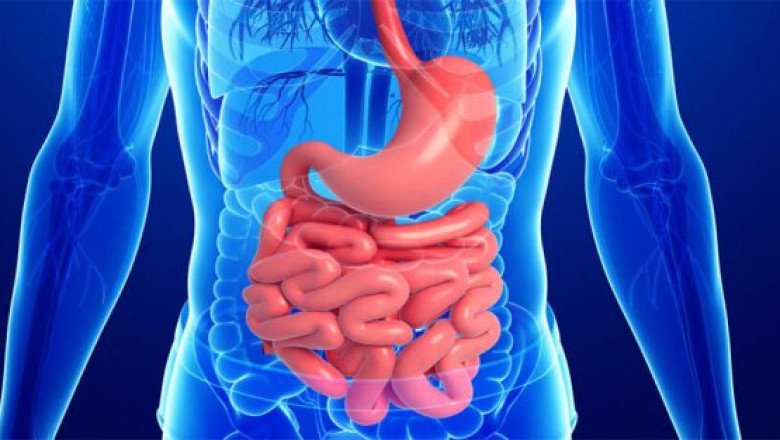 Gastrointestinal Stents Improve Quality Of Life, And Avoid The Need For Invasive Procedures