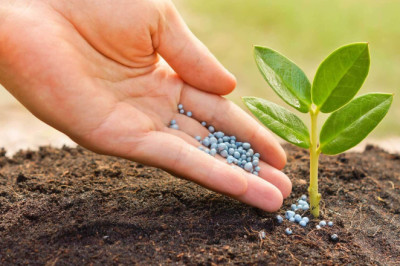 How Chelated Iron Agricultural Micronutrient Market is Revolutionizing Modern Agriculture