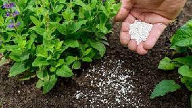 Garden Fertilizer: The Ultimate Guide to Choosing and Using the Best Fertilizer for Your Garden