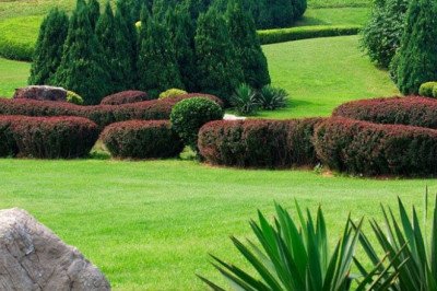 Gardening in Naples: How to Deal with Common Pest Problems