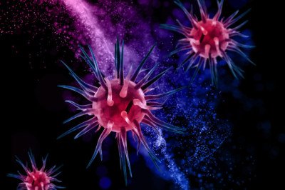 New Zealand Medical Imaging Market To Undergo a Steady CAGR by 2028