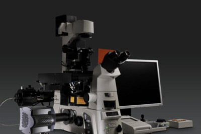 Zooming in on the Microscopic World: Optical Microscopes for Scientific Inquiry